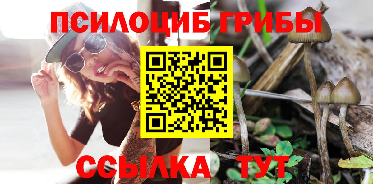 Псилоцибиновые грибы MAGIC MUSHROOMS  Галлюциногенные грибы MAGIC MUSHROOMS  Вход с VPN  Ейск 